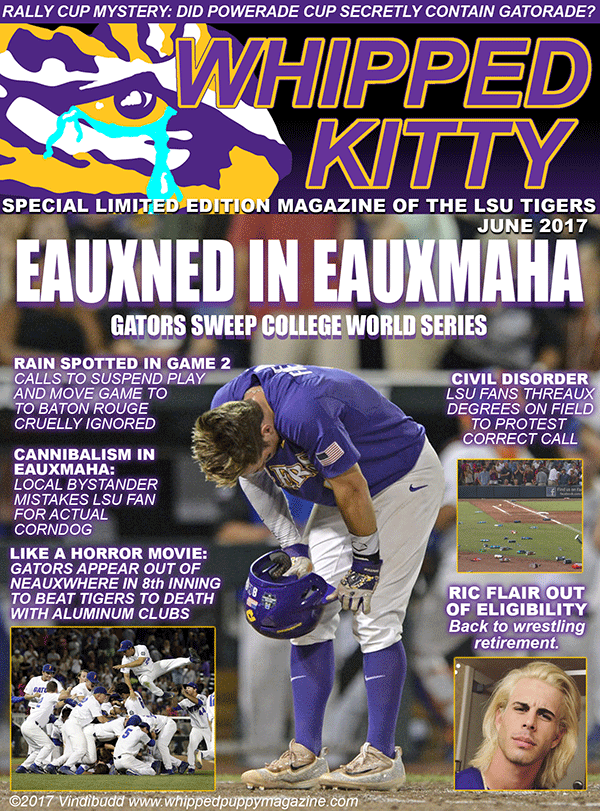 2017 College World Series Edition Whipped Kitty